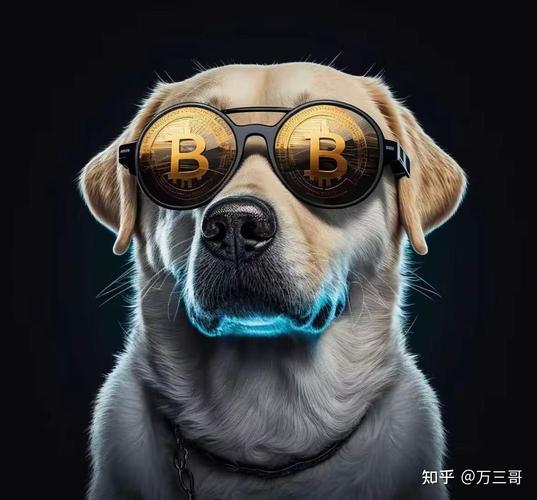 币圈老炮都在聊：imToken下载背后的风向变了